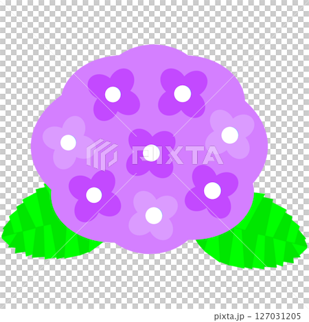 梅雨や初夏を彩る紫陽花の花のかわいらしいイラスト素材 127031205