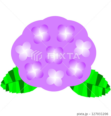 梅雨や初夏を彩る紫陽花の花のかわいらしいイラスト素材 127031206