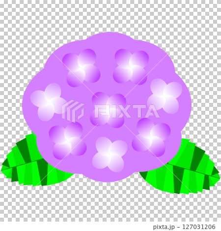 梅雨や初夏を彩る紫陽花の花のかわいらしいイラスト素材 127031206