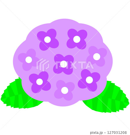 梅雨や初夏を彩る紫陽花の花のかわいらしいイラスト素材 127031208