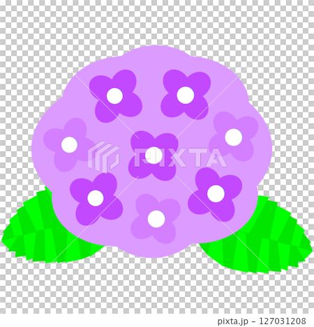 梅雨や初夏を彩る紫陽花の花のかわいらしいイラスト素材 127031208