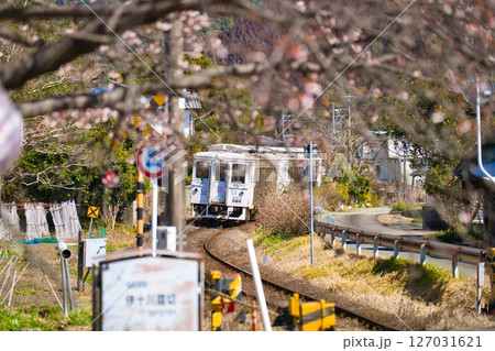 日南市　北郷駅 127031621