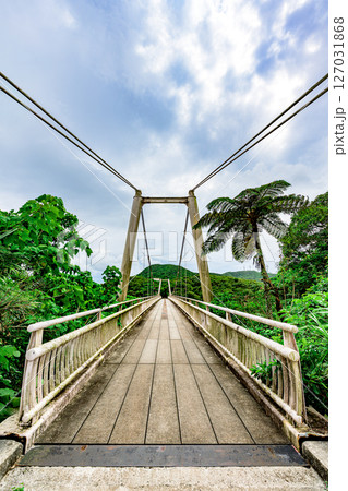 緑に包まれた石垣島バンナ公園の吊り橋の風景 梅雨の聖紫花の橋 緑に包まれた石垣島バンナ公園の吊り橋の風景 梅雨の聖紫花の橋 127031868