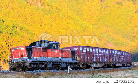 朝日が金色に照らす山肌を背景に紀勢貨物がいせかしカーブを行く 朝日が金色に照らす山肌を背景に紀勢貨物がいせかしカーブを行く 127032173