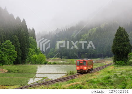 朝霧に包まれて田植えしたばかりの計石を走る越美北線の単行気動車 127032191