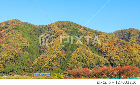 色鮮やかな紅葉を背景に若桜鉄道の気動車が八東川を越える 色鮮やかな紅葉を背景に若桜鉄道の気動車が八東川を越える 127032210