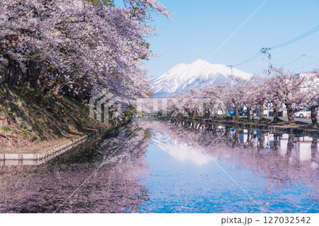 満開を迎えた青森・弘前公園の桜 127032542