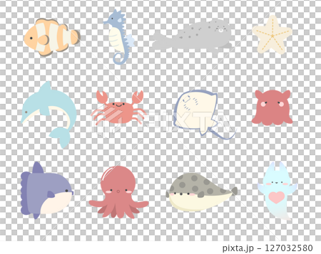 かわいいうみの生き物大集合 127032580