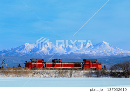 大雪山をバックに 127032610