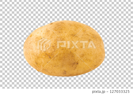 透明背景(png)上的 1 個新馬鈴薯(男爵) 透明背景(png)上的 1 個新馬鈴薯(男爵) 127033325