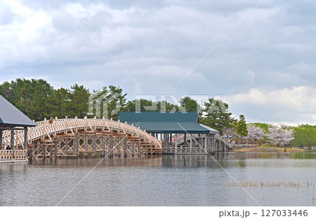 津軽　鶴の舞橋の満開桜　 127033446