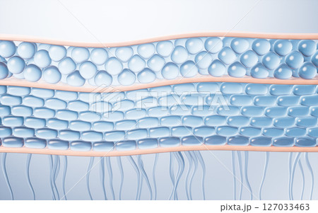 立体 3次元 3D 127033463