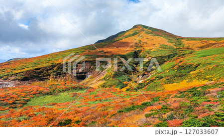 秋の栗駒山登山(東栗駒山から栗駒山の眺め) 秋の栗駒山登山(東栗駒山から栗駒山の眺め) 127033607