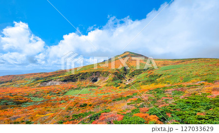 秋の栗駒山登山(東栗駒山から栗駒山の眺め) 秋の栗駒山登山(東栗駒山から栗駒山の眺め) 127033629