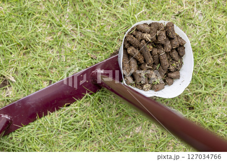 芝生のお手入れ のイメージ 芝生のお手入れ のイメージ 127034766