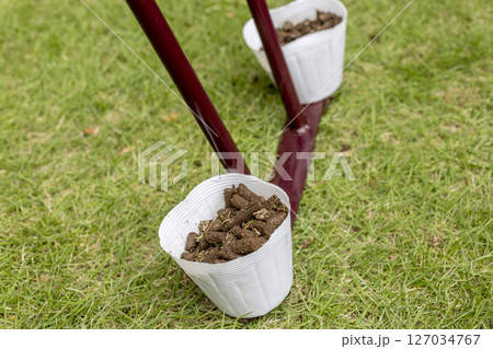 芝生のお手入れ のイメージ 芝生のお手入れ のイメージ 127034767