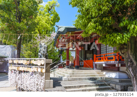 阿倍王子神社の拝殿　初夏【大阪市阿倍野区】 127035114
