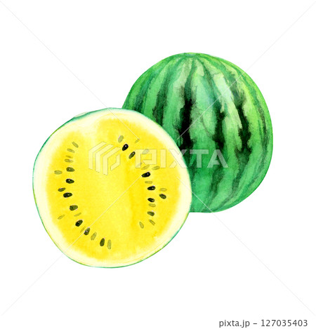スイカ 黄色 果物 断面 水彩 イラスト スイカ 黄色 果物 断面 水彩 イラスト 127035403