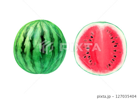 スイカ 赤　果物 断面　水彩 イラスト 127035404
