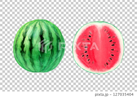 スイカ 赤　果物 断面　水彩 イラスト 127035404