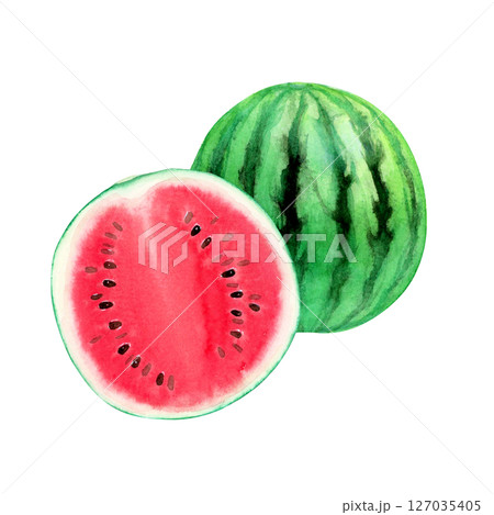 スイカ 赤　果物 断面　水彩 イラスト 127035405