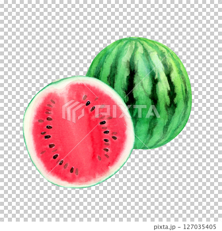 西瓜紅色果實橫斷面水彩插圖 127035405