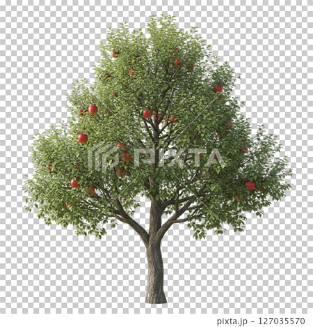 Realistic apple tree with lush green leaves and ripe red apples on a transparent background, perfect for food, farm, or nature-themed designs. 127035570