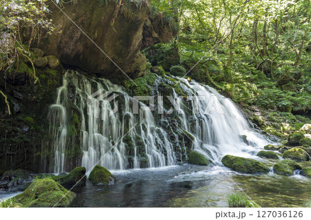 初夏の元滝伏流水と元滝川の流れ　秋田県にかほ市 127036126
