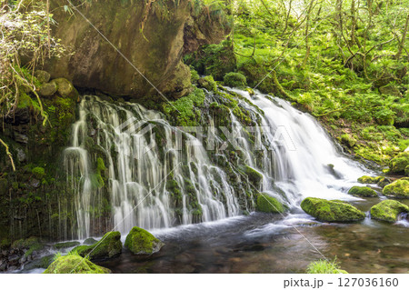 初夏の元滝伏流水と元滝川の流れ　秋田県にかほ市 127036160