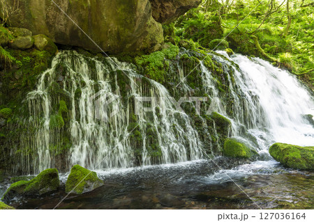 初夏の元滝伏流水と元滝川の流れ　秋田県にかほ市 127036164