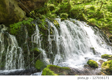 初夏の元滝伏流水と元滝川の流れ 秋田県にかほ市 初夏の元滝伏流水と元滝川の流れ 秋田県にかほ市 127036171