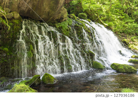 初夏の元滝伏流水と元滝川の流れ　秋田県にかほ市 127036186
