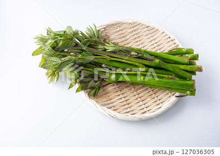 うど うど 127036305