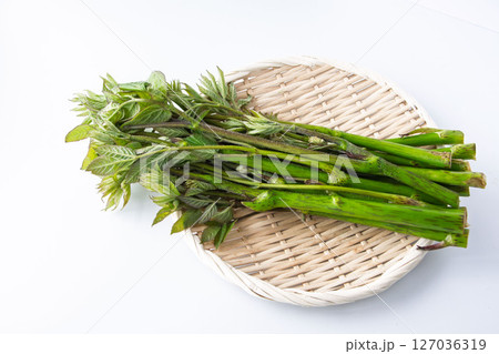 うど うど 127036319