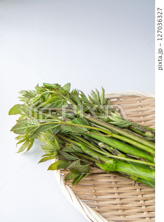 うど うど 127036327