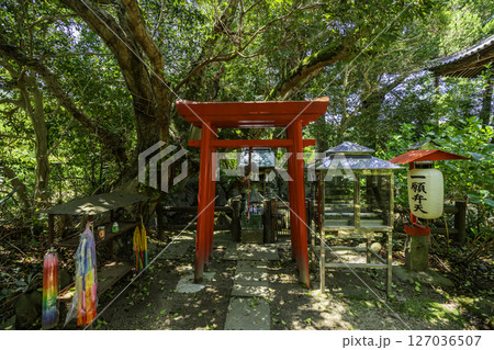四国八十八箇所46番 浄瑠璃寺 一願弁天堂 愛媛県松山市 四国八十八箇所46番 浄瑠璃寺 一願弁天堂 愛媛県松山市 127036507