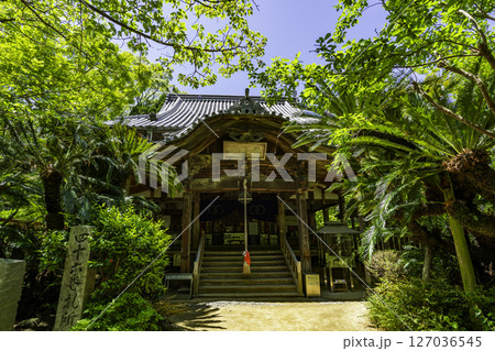 四国八十八箇所46番　浄瑠璃寺　本堂　愛媛県松山市 127036545