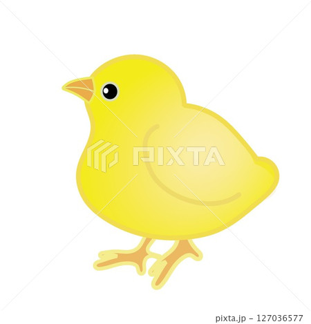 ひよこのイラスト ひよこのイラスト 127036577