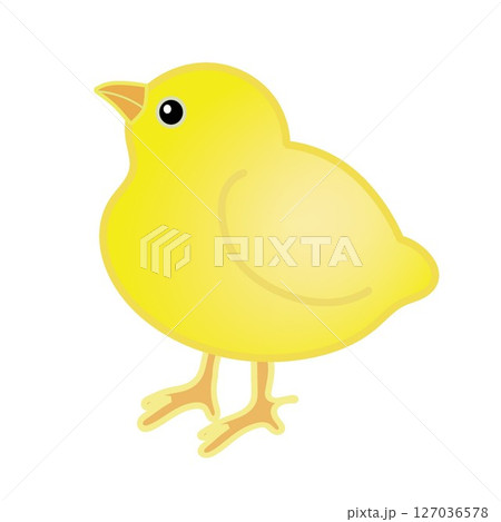 ひよこのイラスト ひよこのイラスト 127036578