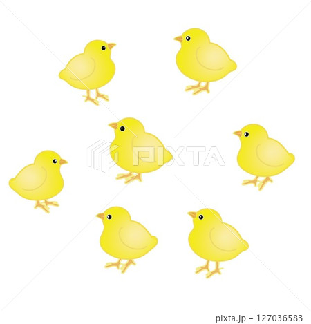 ひよこのイラスト 127036583