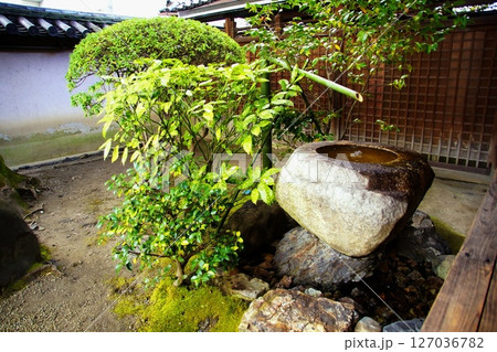 京都府 東寺 観智院・手水鉢 蹲踞 京都市 南区 九条町 2022年2月 京都府 東寺 観智院・手水鉢 蹲踞 京都市 南区 九条町 2022年2月 127036782