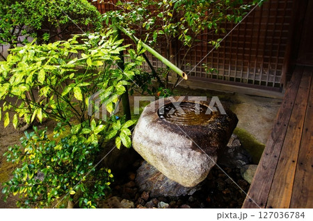 京都府 東寺 観智院・手水鉢 蹲踞 京都市 南区 九条町 2022年2月 京都府 東寺 観智院・手水鉢 蹲踞 京都市 南区 九条町 2022年2月 127036784