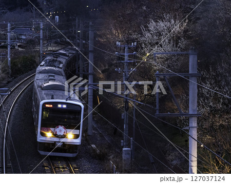 夜の偕楽園を走るSAKIGAKE 127037124