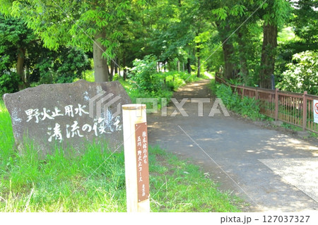 野火止用水沿いの小道 東大和市 野火止用水沿いの小道 東大和市 127037327