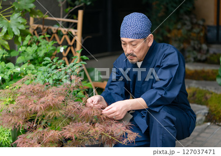 作務衣を着た男性　園芸家 127037471