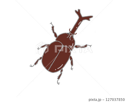 カブトムシの雄のイラスト 127037850