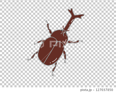 カブトムシの雄のイラスト 127037850