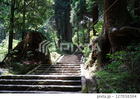 神奈川県南足柄市の大雄山最乗寺の風景 127038304