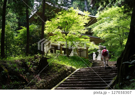 神奈川県南足柄市の大雄山最乗寺の風景 127038307