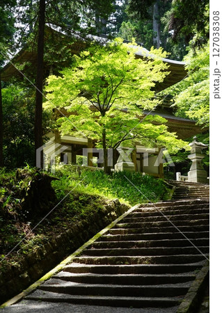 神奈川県南足柄市の大雄山最乗寺の風景 127038308